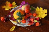 IMG_2987 dpp